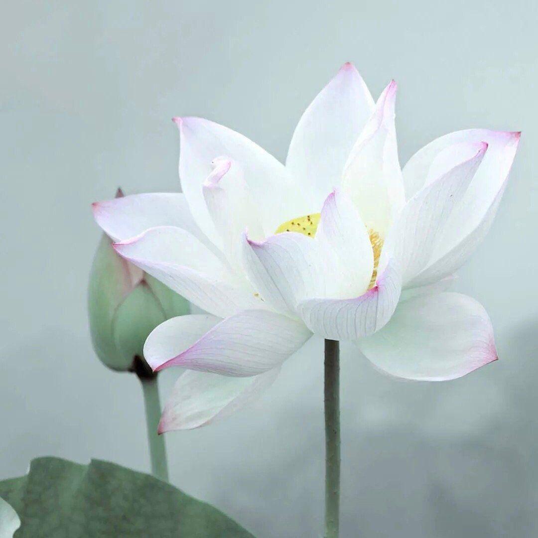 如何屏蔽微信头像不让父母看见?