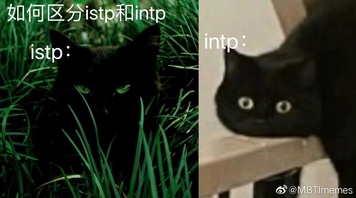 如何从细节区别istp和intp? - 知乎
