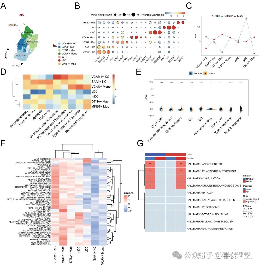 最新15+纯生信，单细胞+空转+bulk+ATAC-seq+机器学习，识别疾病进展相关细胞亚型。最新高分思路，肿瘤非肿瘤均合适！ - 知乎
