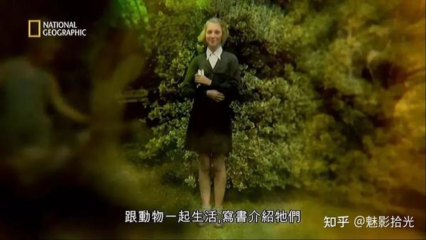 珍·古道尔的传奇一生:深耕原始森林40年,只为猩猩! - 知乎