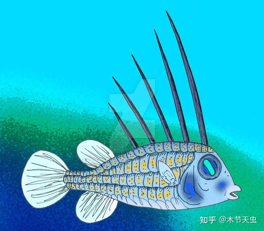 【鲀形目的演化史·其一】刺鲀,箱鲀,河鲀,鳞鲀 - 知乎