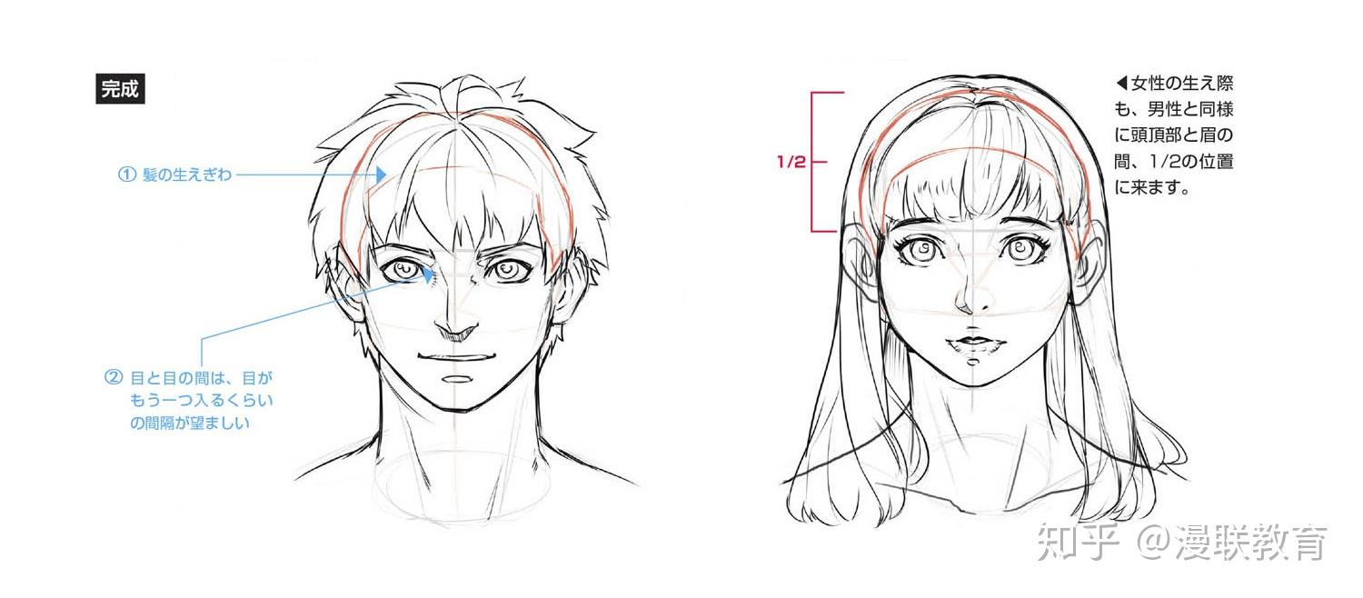 二,面部轮廓的画法