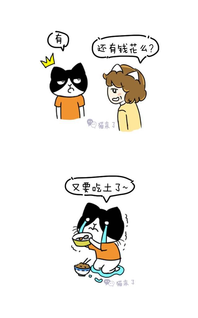 v2-0c36d2614a80fe9c92d32c6b16a63cb8_r.jpg