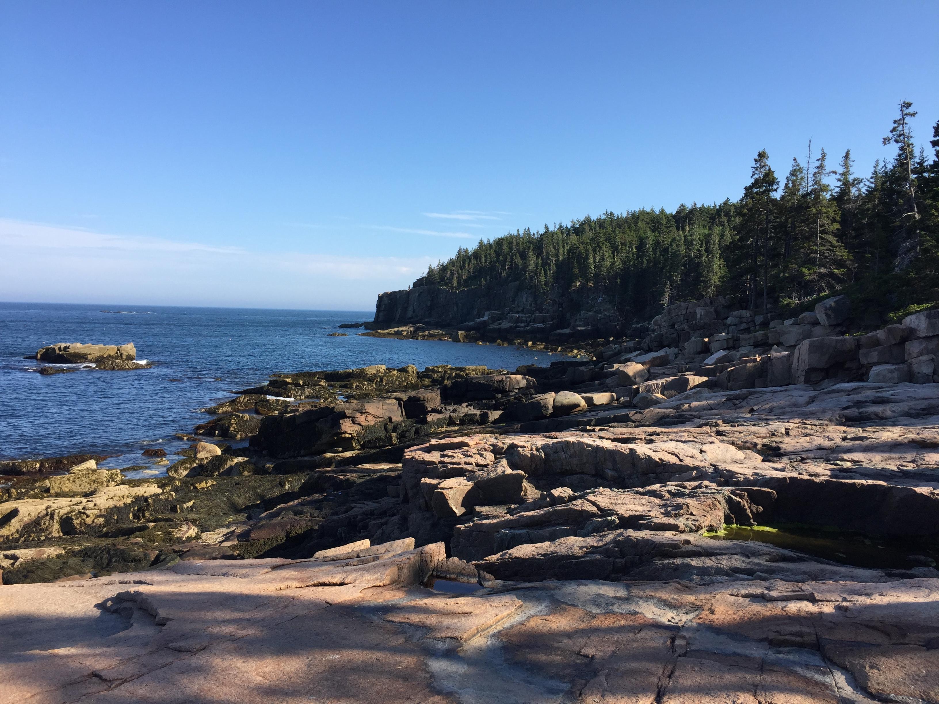 彩色的阿卡迪亚acadianationalpark