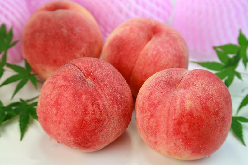 桃子怎么吃比较好 v2-0c407a6308aa73de773f009a2d73dbeb_1440w.jpg?source=172ae18b