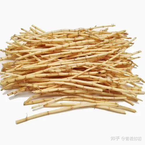 每日一味药--白茅根 - 知乎