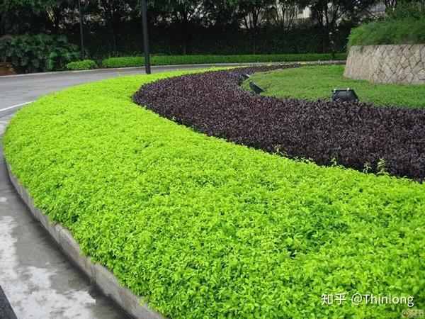 (低矮的灌木丛中有可能存在蜱虫)