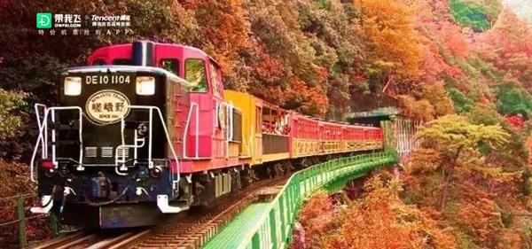 17日本最全賞楓攻略 9月北海道楓葉已經變紅 中國熱點