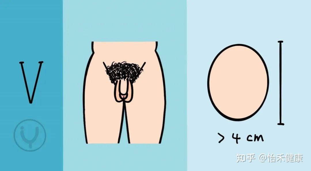 男生青春期发育时期都有哪些经历?