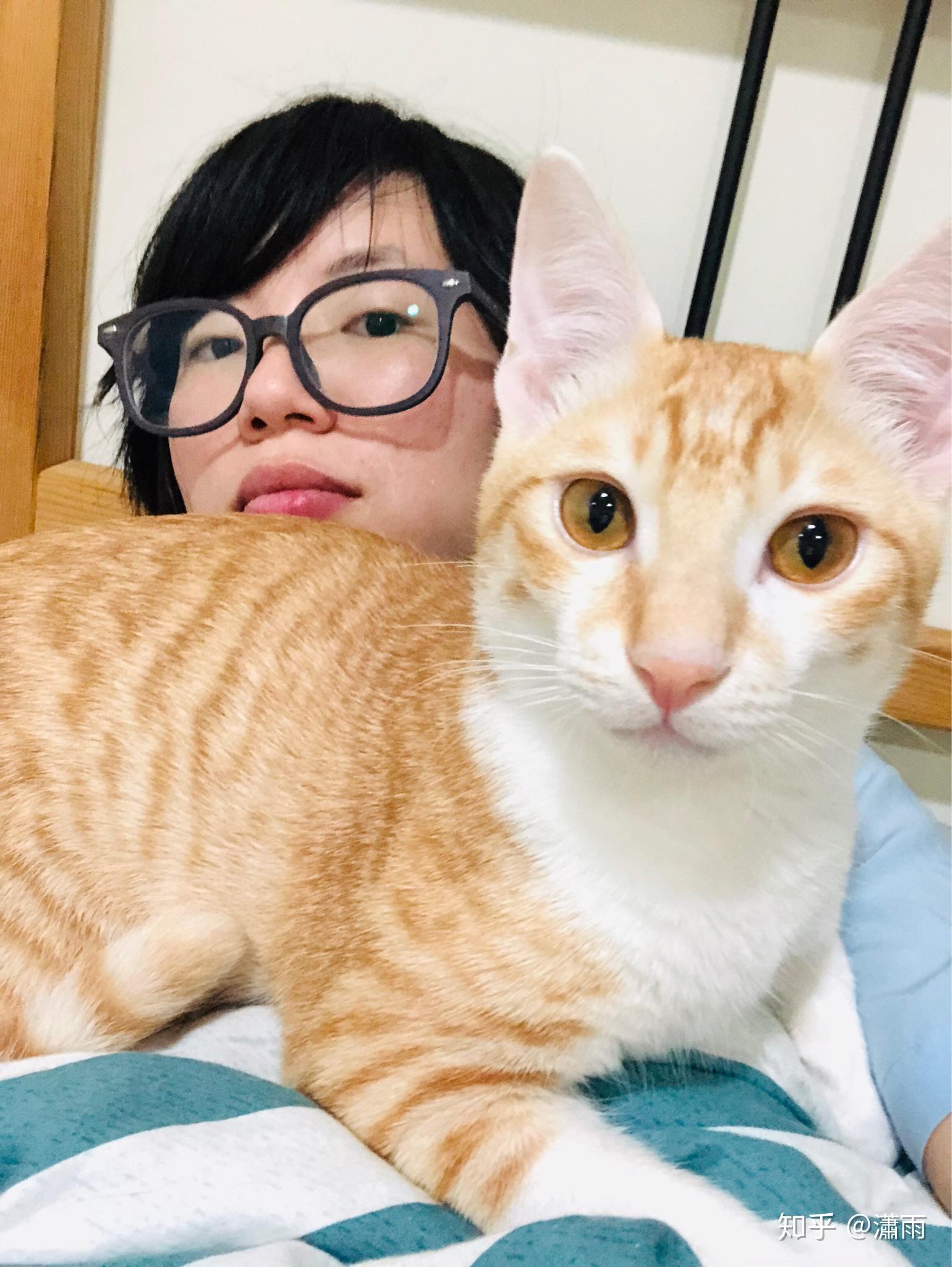 主人在猫的心里到底是一种什么样的存在