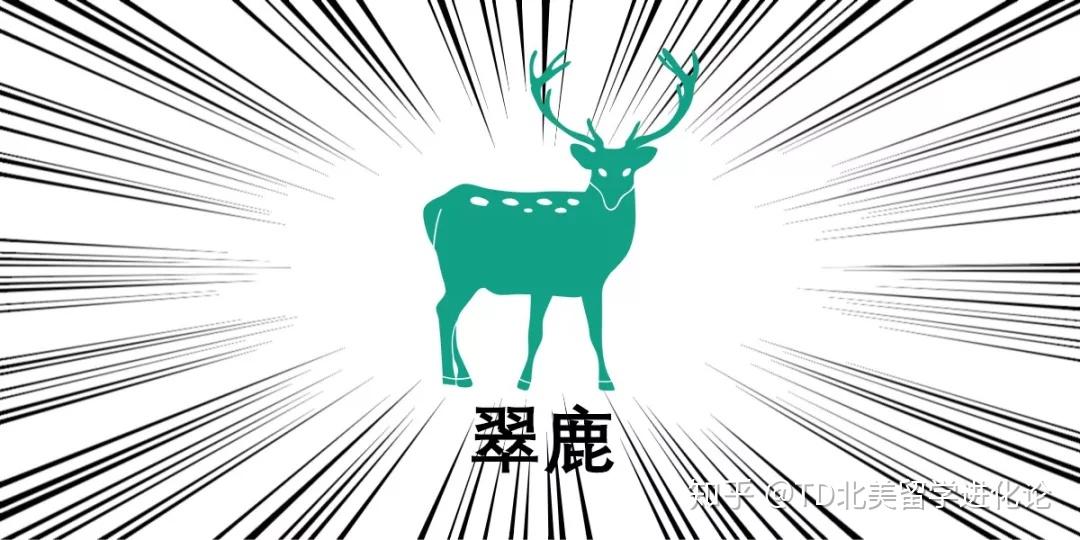 触碰小鹿并虔诚许愿可以获得梦校的offer.