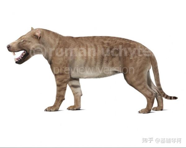 新生代巨兽猛兽及其他掠食者精简名录：古兽争锋榜（古近纪篇） - 知乎