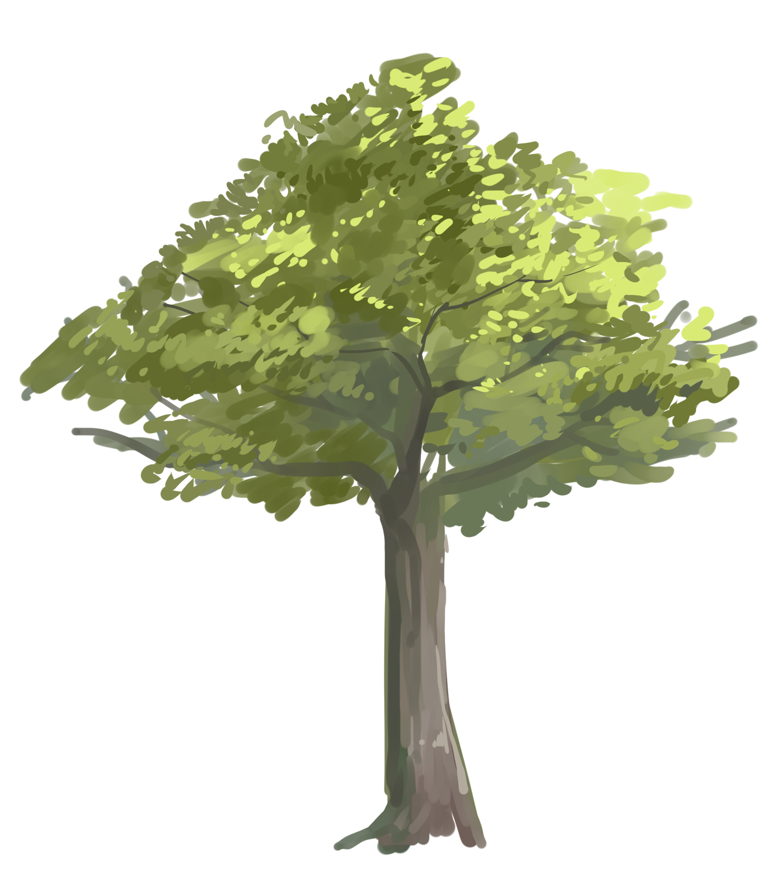 关注公众号【一天一绘】回复关键词【树木笔刷】即可免费获得本文提到