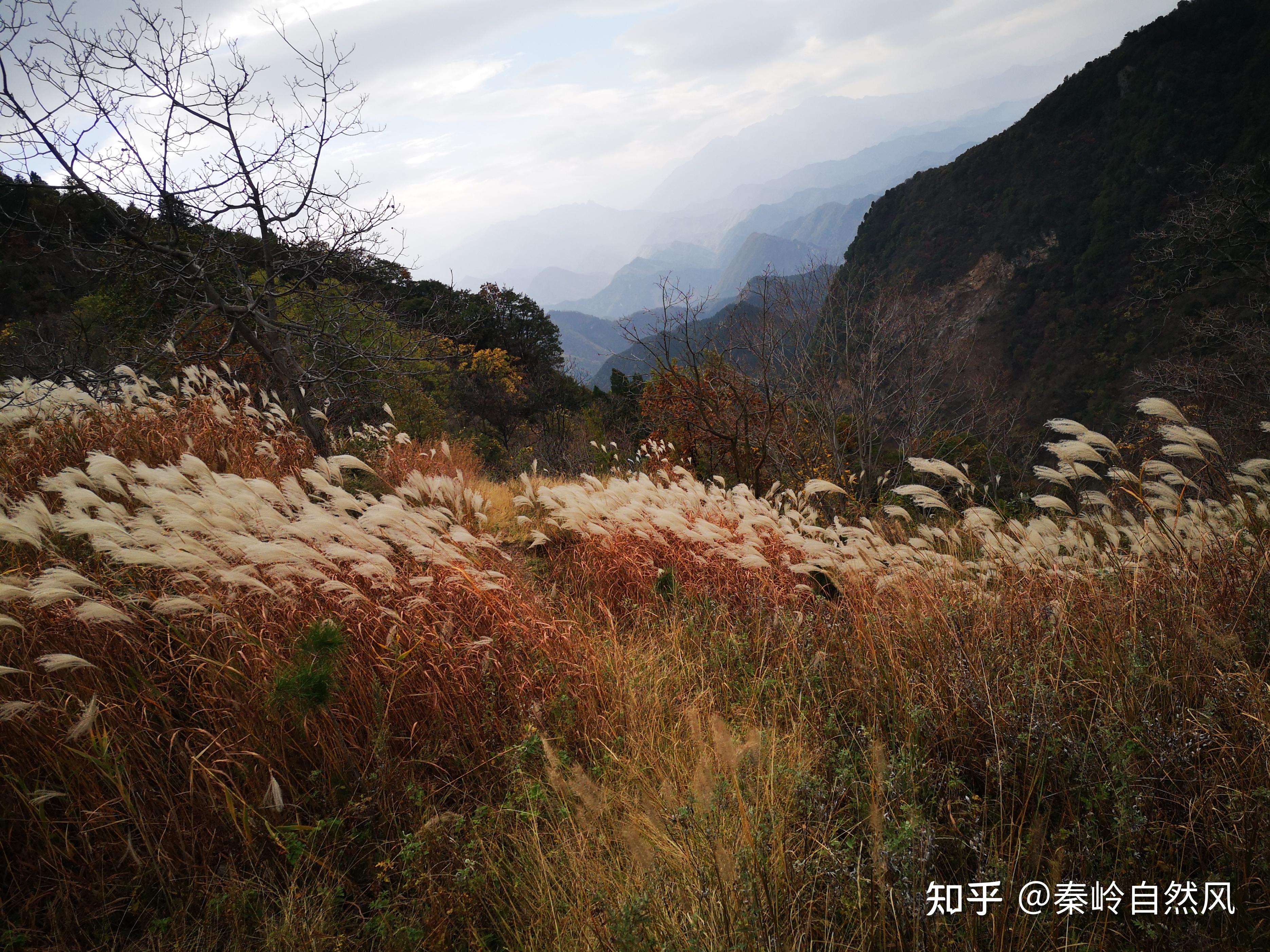 在蓝关古道,赶上了今夏最美落日,“雨后烟景绿,晴天散馀霞” - 知乎