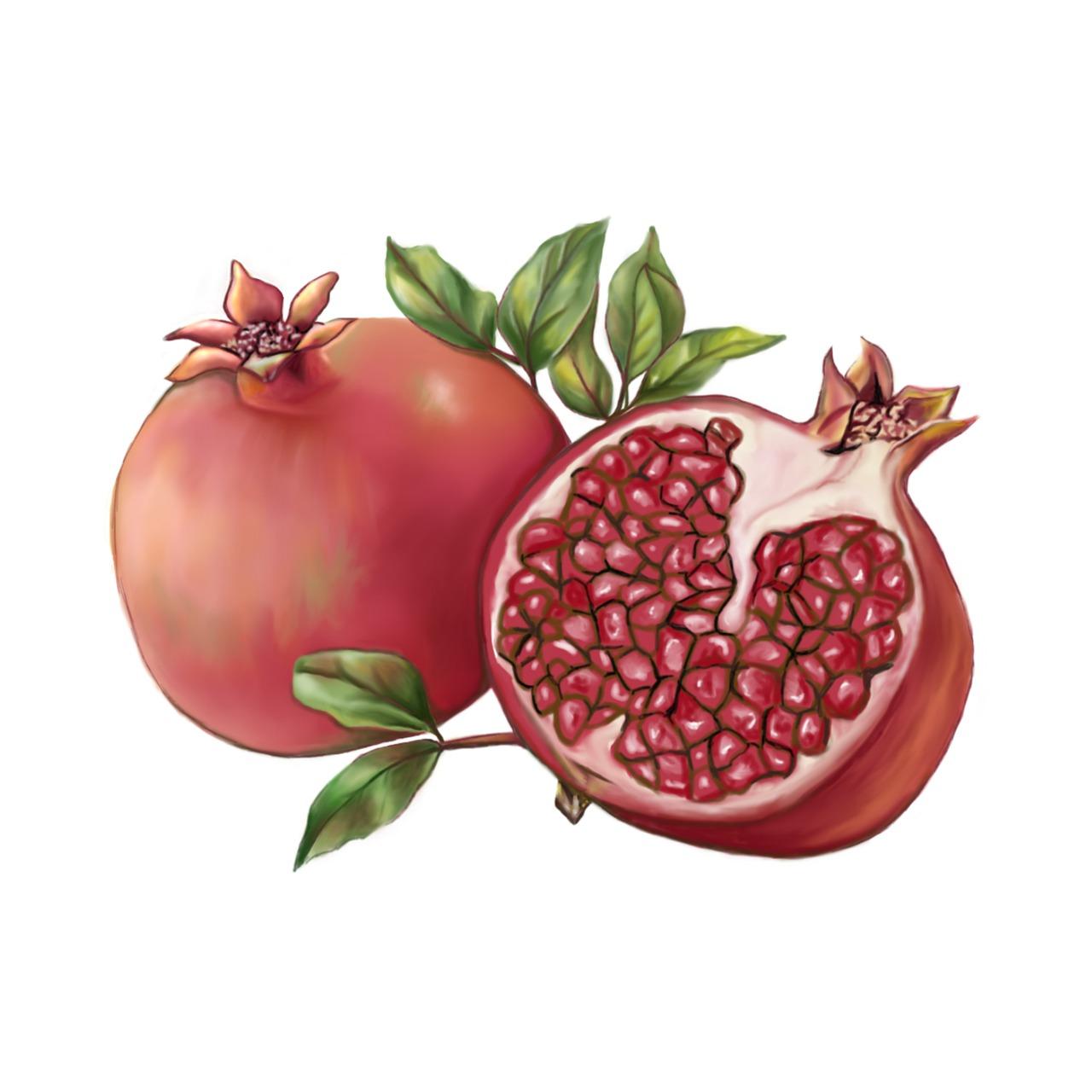 石榴病虫害防治