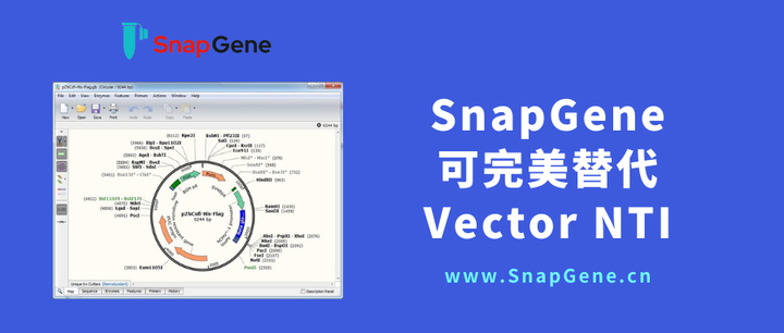 Vector Nti 赛默飞停止更新Vector NTI,可以选择SnapGene软件完美替代! - 知乎