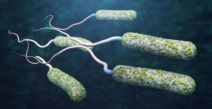 知识净水科普生活用水知道多少看不见的细菌威胁