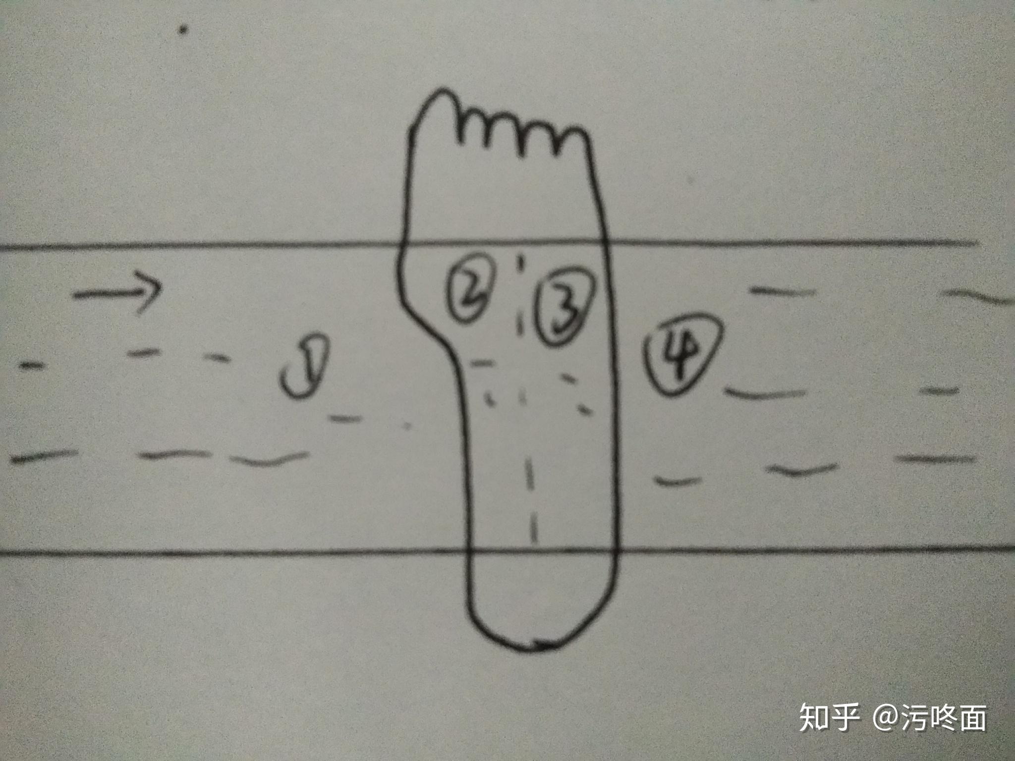 脑鲁人口_人口普查(3)