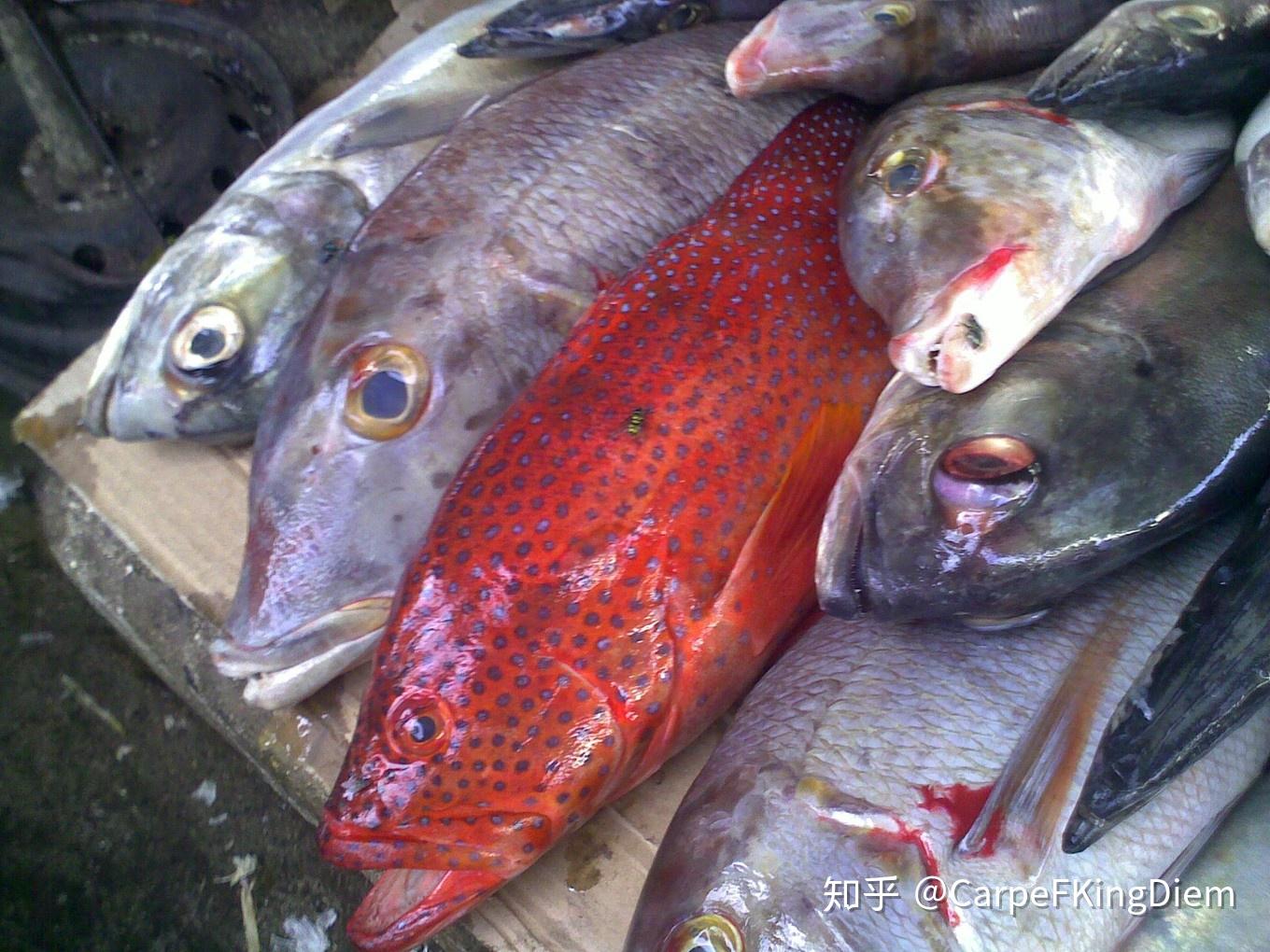 科摩罗,début de mon voyage afrique