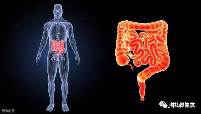 有效預防結直腸癌除了45歲開始做腸鏡還有這些方法不可不知