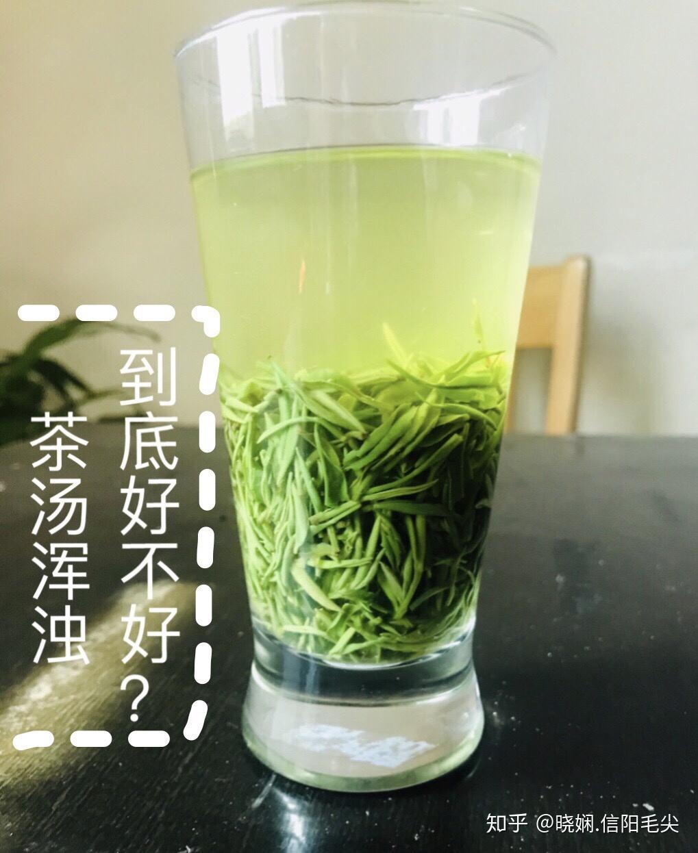 信阳毛尖茶汤浑浊到底好不好