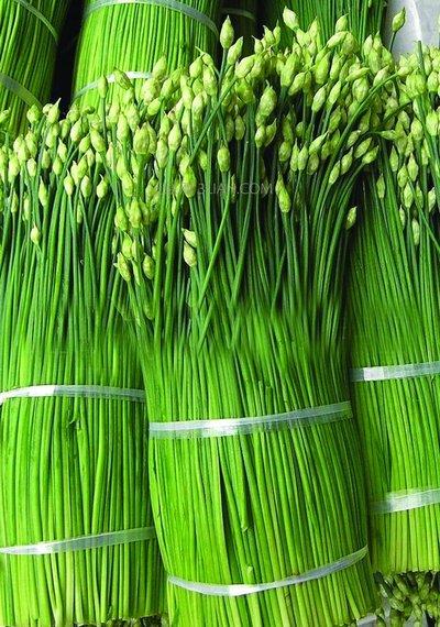 a股的韭菜!为啥越割越多?散户突破1.7亿