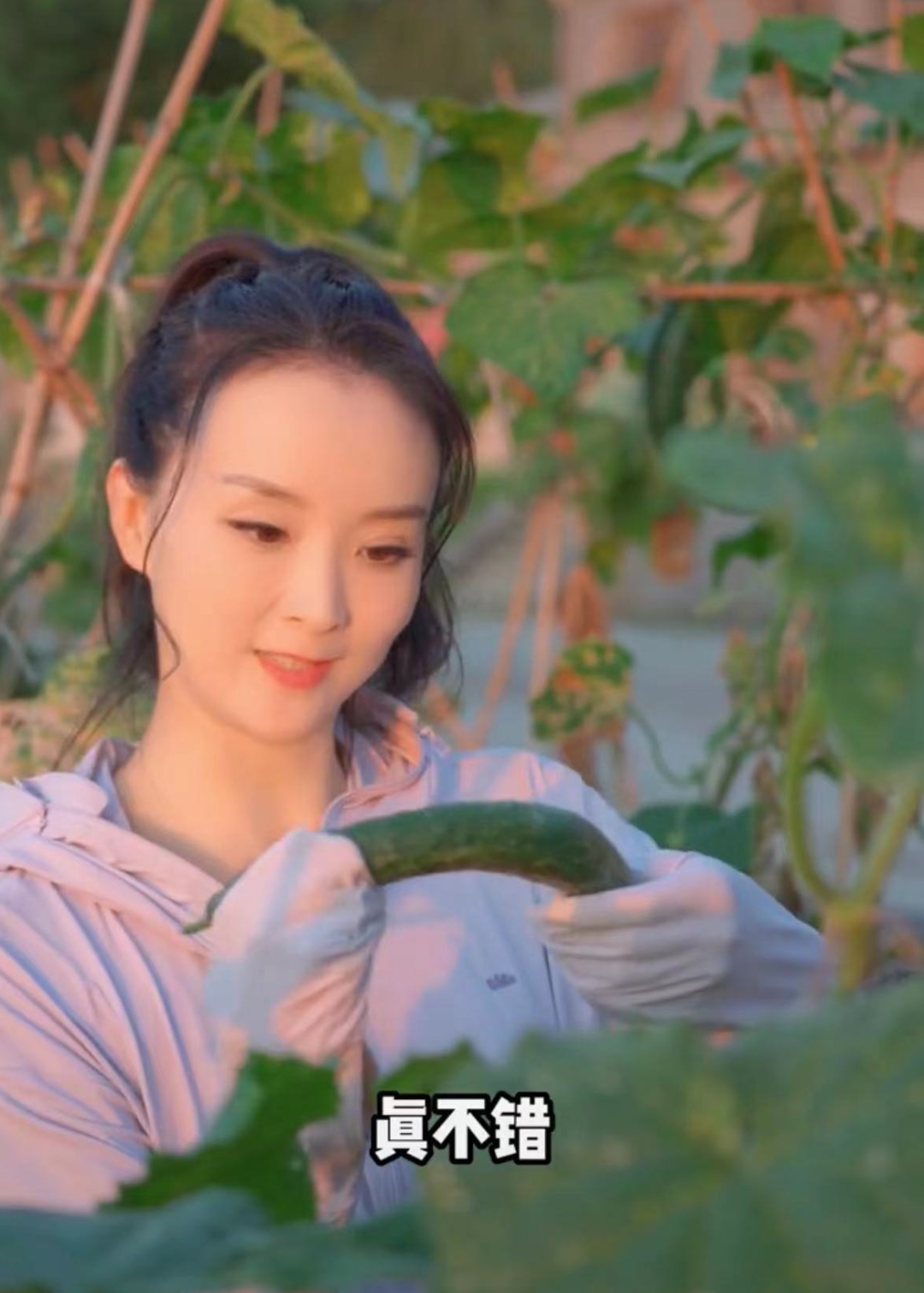 "晴格格"王艳嫁给澳洲华人富豪后,下地干农活!