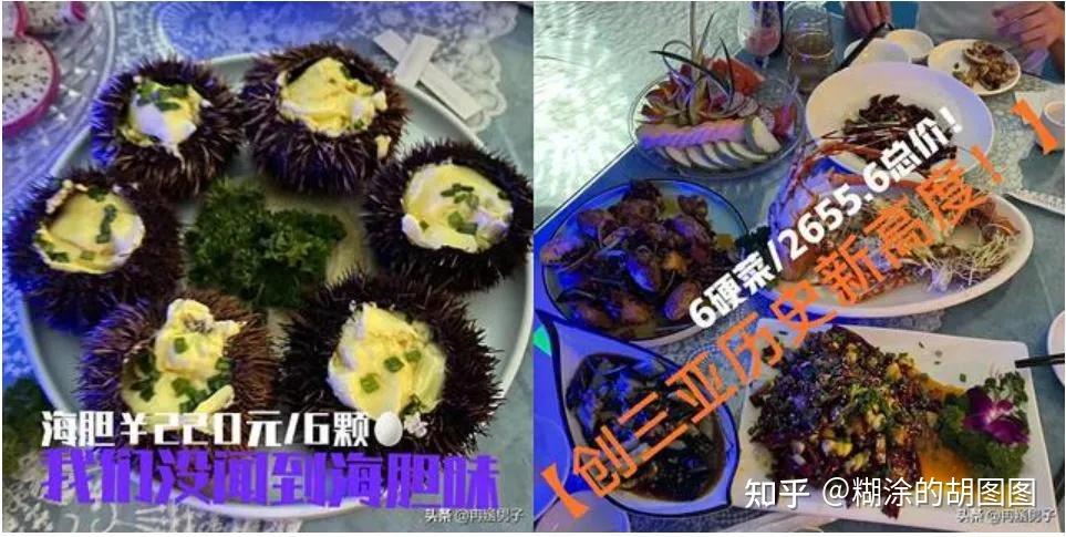 三亚海胆事件可有可能反转店家称手握证据将要起诉消费者