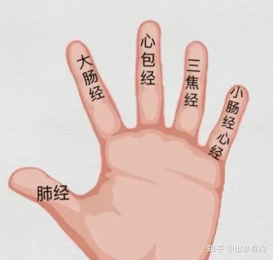勾中指 = 顶级养生?不花一分钱,零成本的动作真有这么神奇? - 知乎