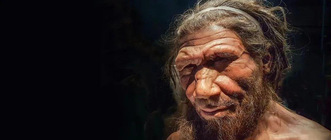 Nature重磅 中国人很安全 新冠重症风险遗传自灭绝的尼安德特人 印度和欧洲人风险高 知乎 Nature重磅 中国人很安全 新冠重症风险遗传自灭绝的尼安德特人 印度和欧洲人风险高 知乎