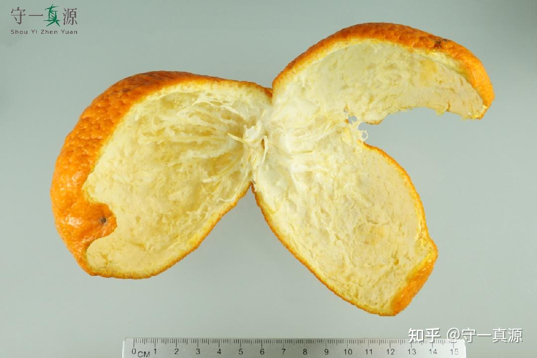 深入浅出聊枳实、枳壳之前生 - 知乎