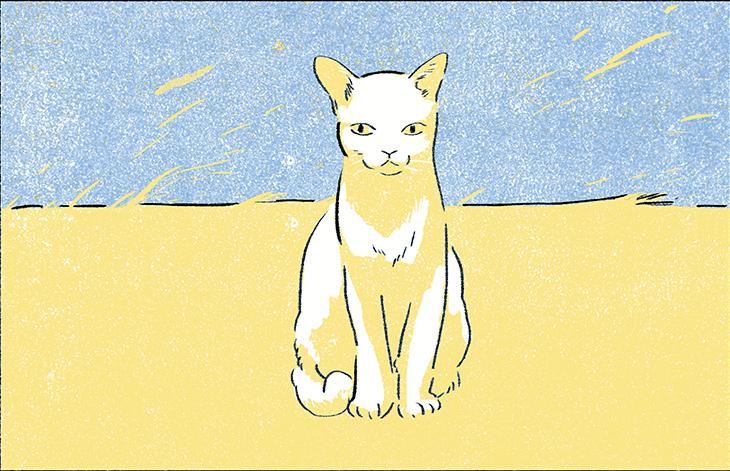 一篇漫画 隔壁婆婆家的猫死了 知乎 一篇漫画 隔壁婆婆家的猫死了 知乎
