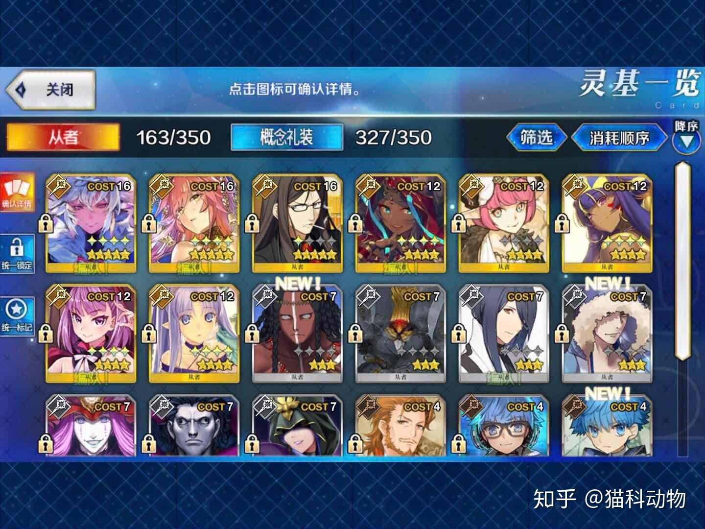 fgo四星术阶打手哪个好?