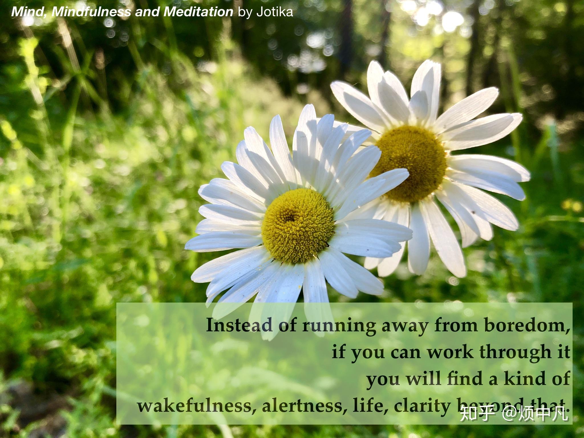 work through it you will find a kind of wakefulness, alertness