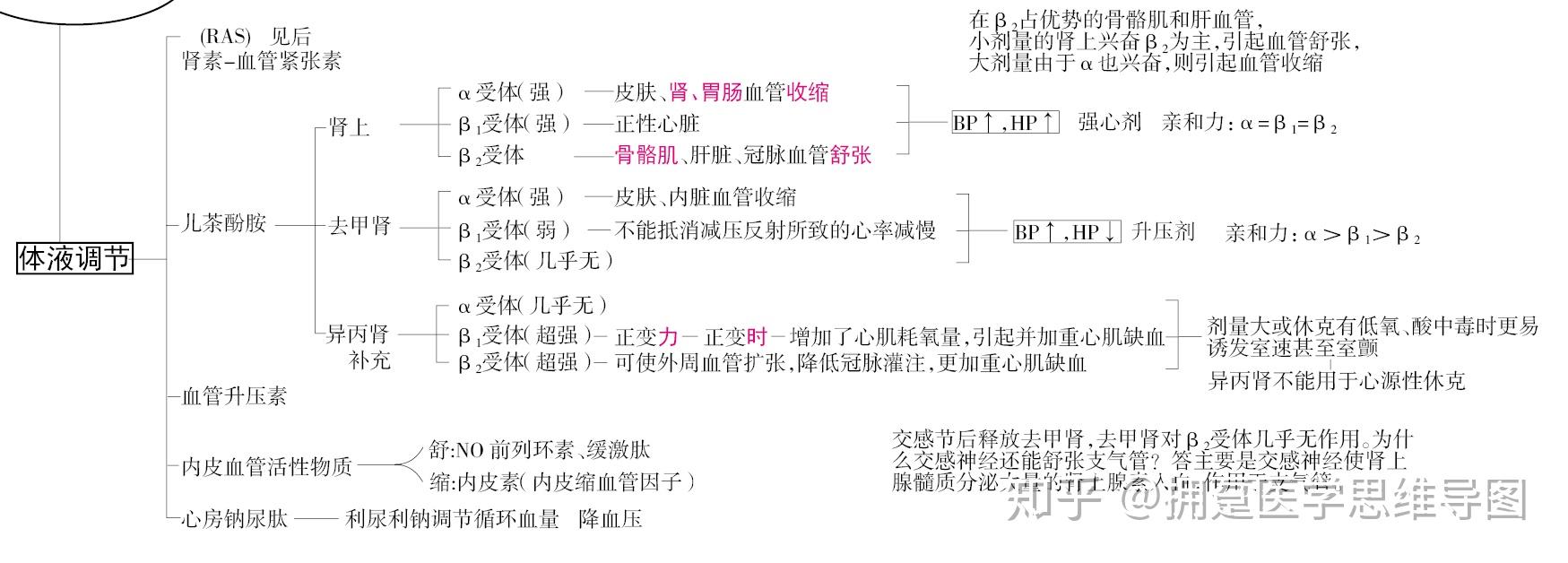 怎样巧记m nαβ受体的分布和作用? - 知乎
