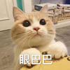 番茄炒蛋