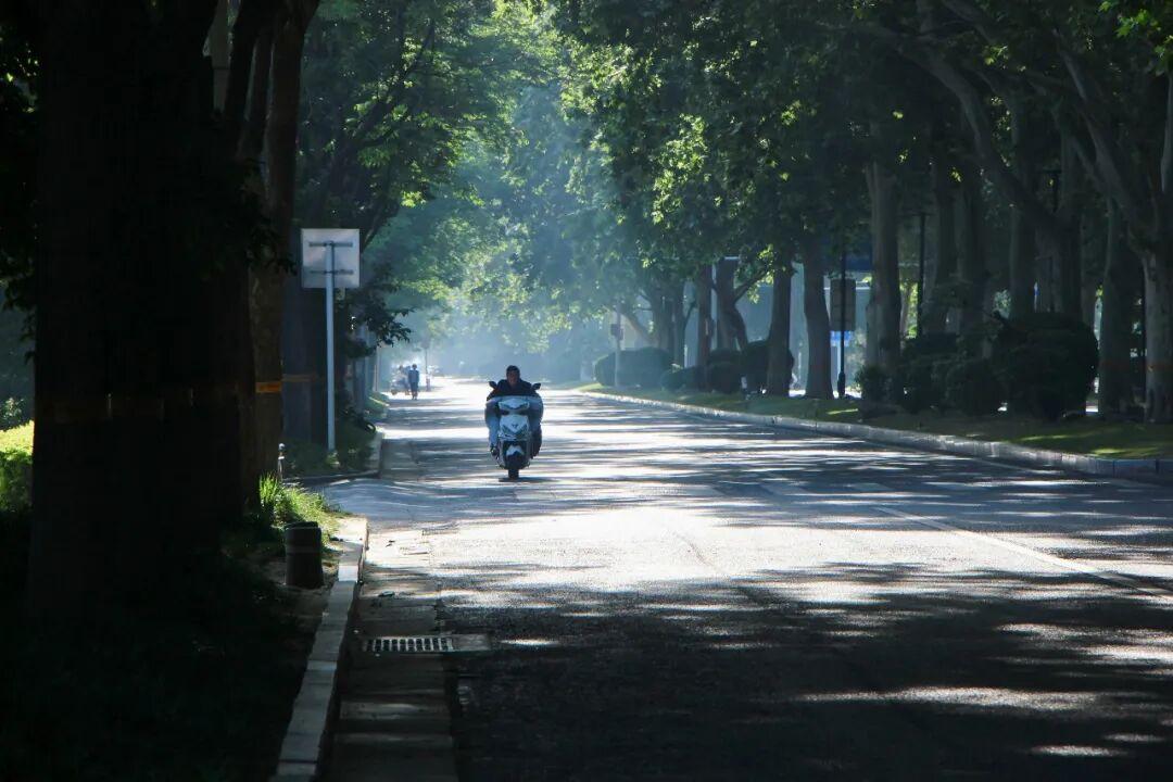 被光照亮的平凡路:我拍下的生活瞬间