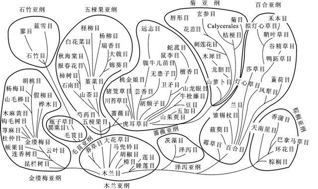 生物学分类有哪些 v2-0d510dcb48036c7fe852d91b922ecce3_r.jpg