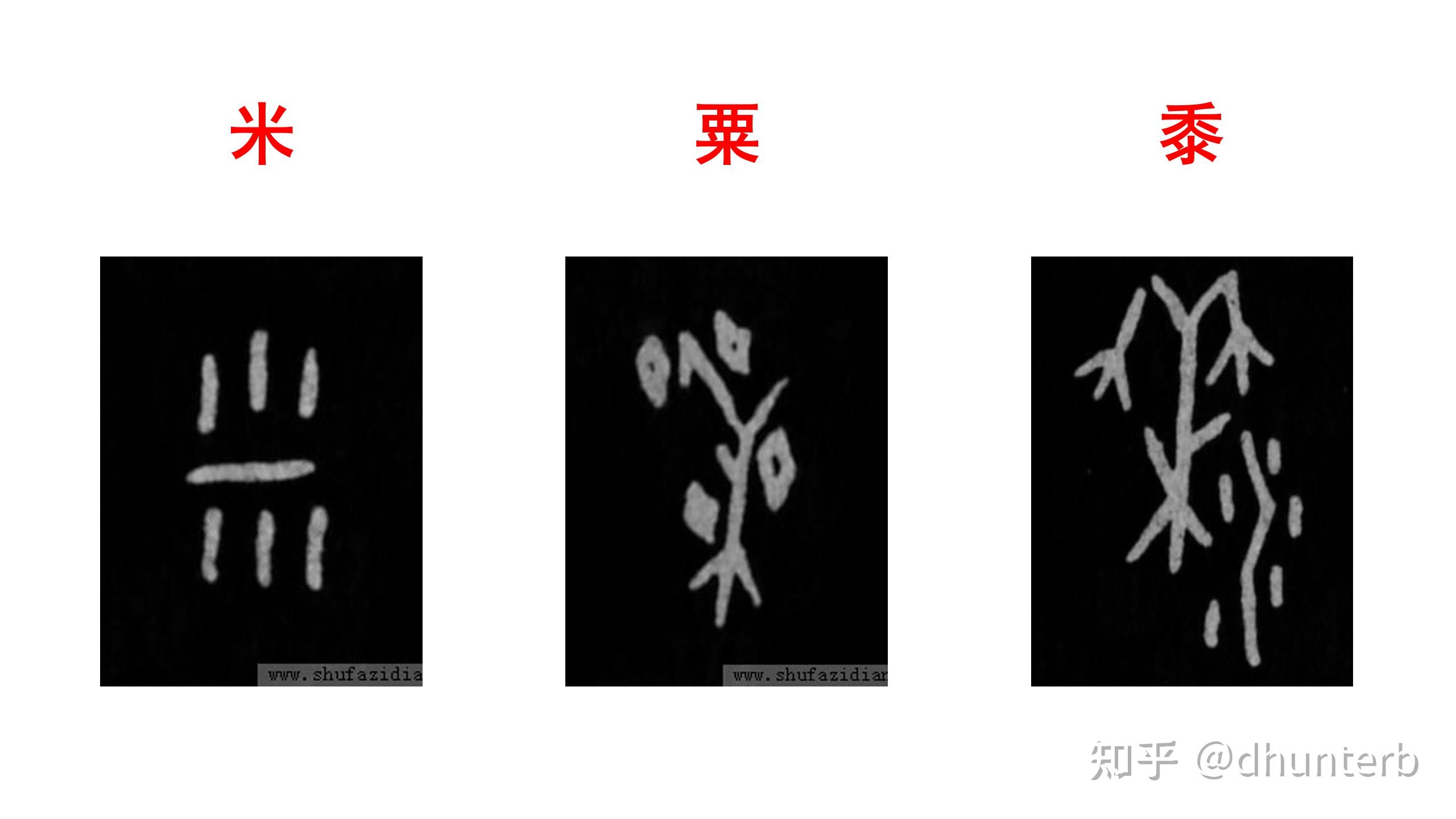 五谷分为稻、黍、稷、麦、菽,分别对应什么? - 知乎