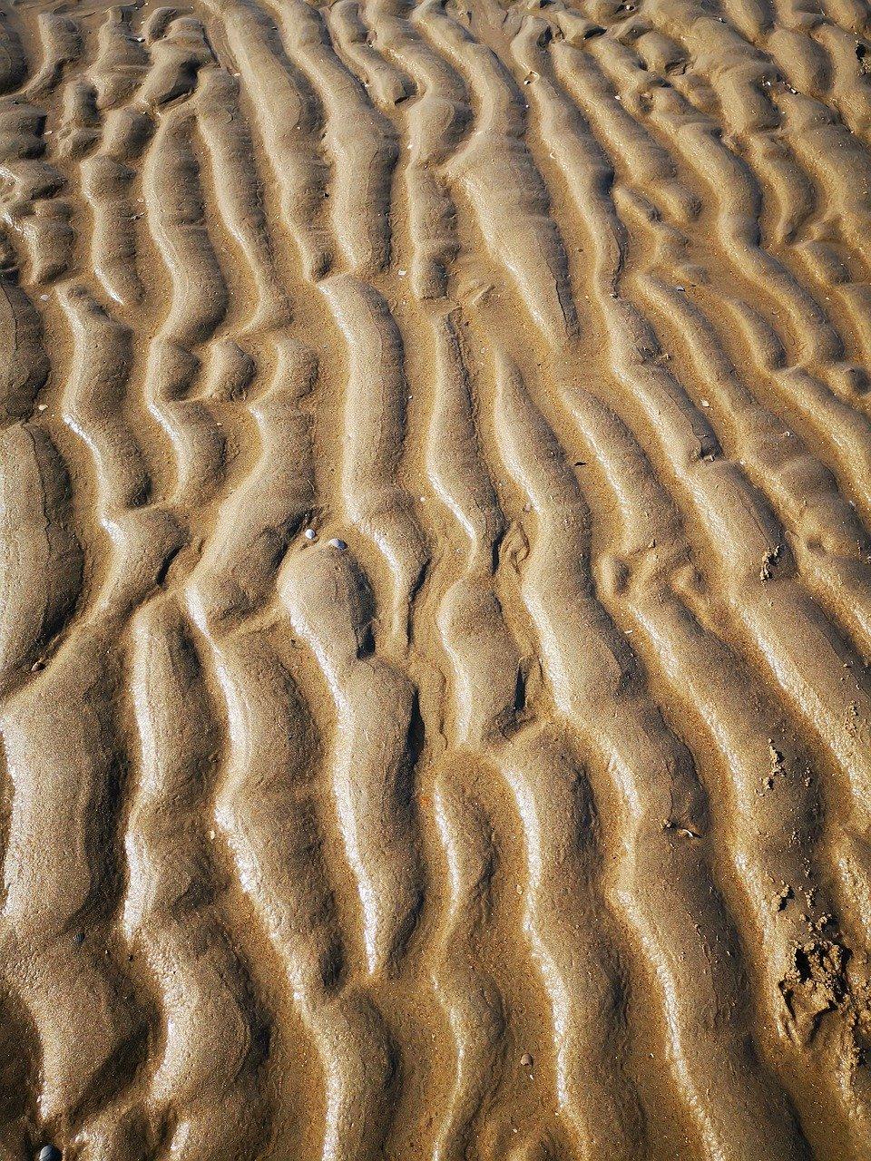 5. 海床环境影响