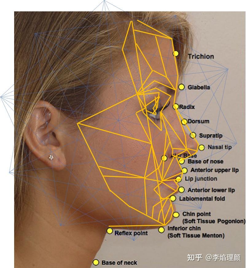 马夸特面具是什么