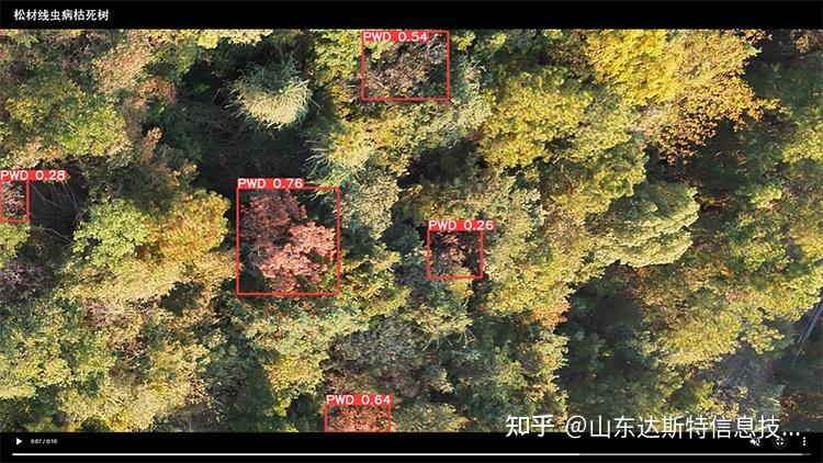 数据中台：林业智慧监管的