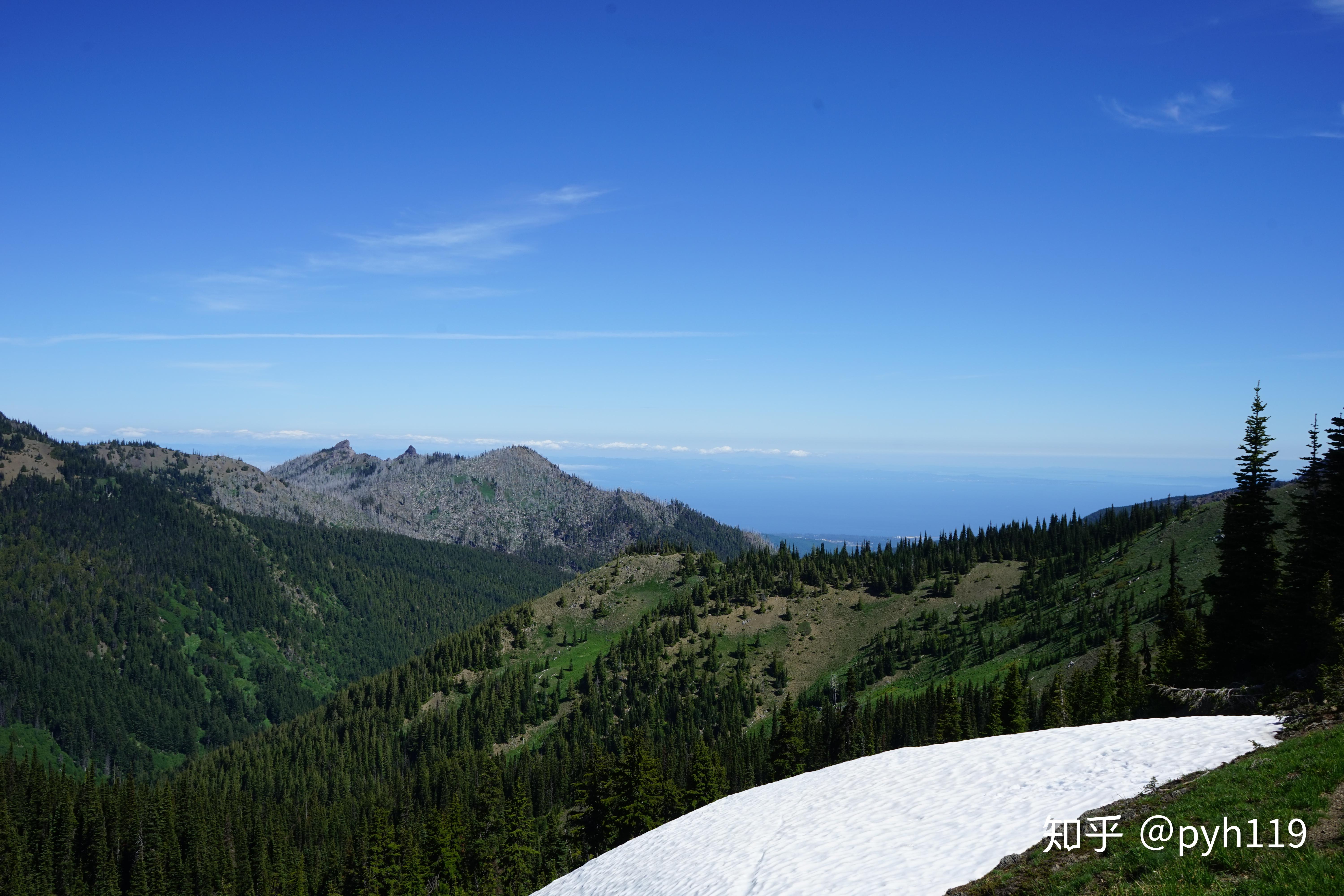 四季之歌——奥林匹克国家公园 - 知乎