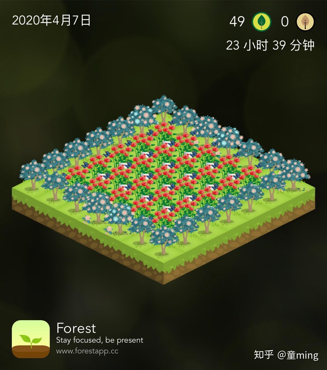 用forest种树怎样搭配最好看? - 知乎