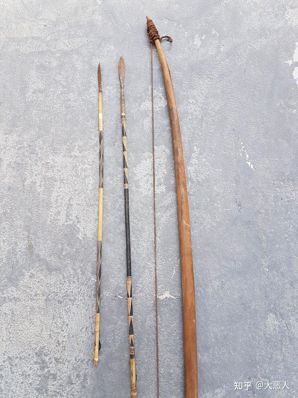 非洲长弓属(北非原始长弓属)