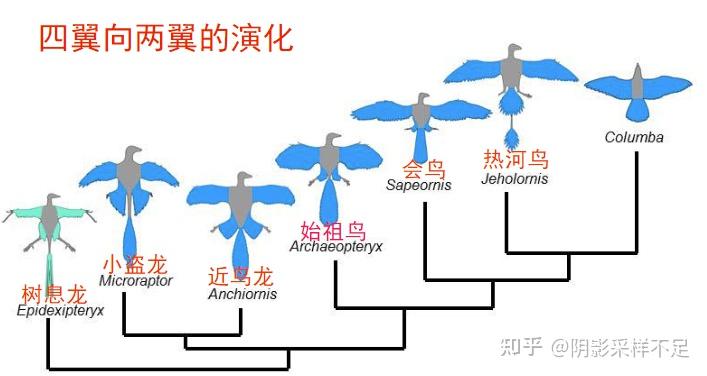 演化学导论 - 知乎