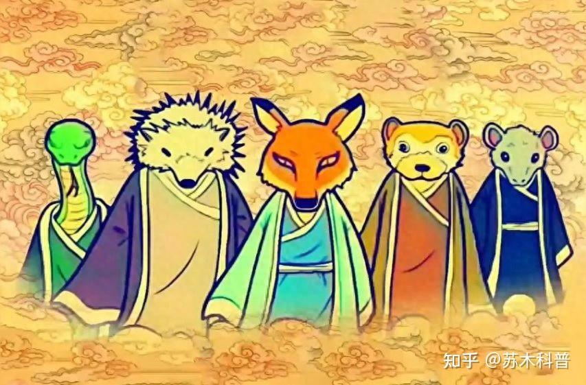 动物真的能“成精”吗?97年黄鼠狼“讨封”事件,到底是真是假? - 知乎