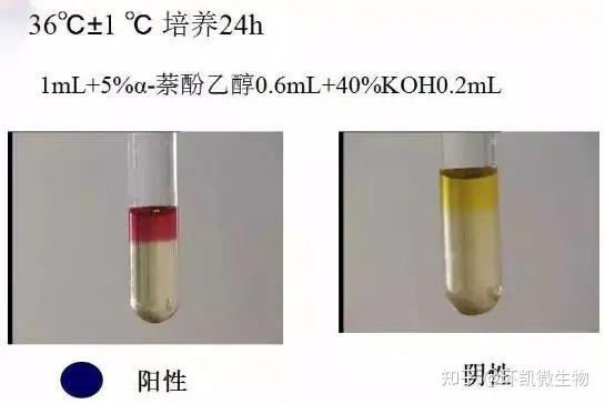 大肠菌群、粪大肠、大肠埃希氏菌检验的相关知识 - 知乎