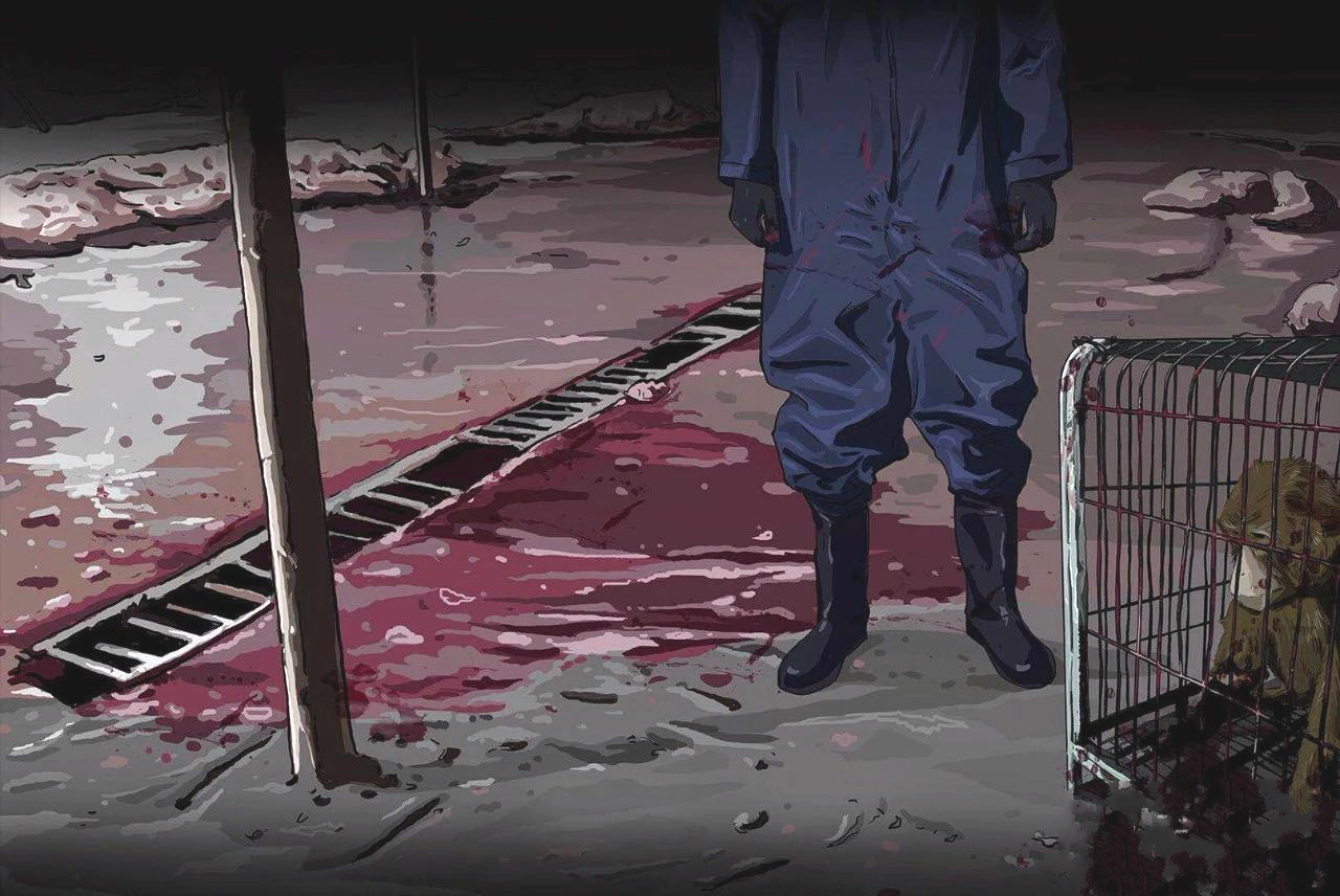 逃离金三角在缅甸当司机的397天