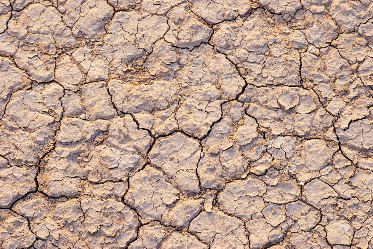 4. 酸碱度适宜土壤